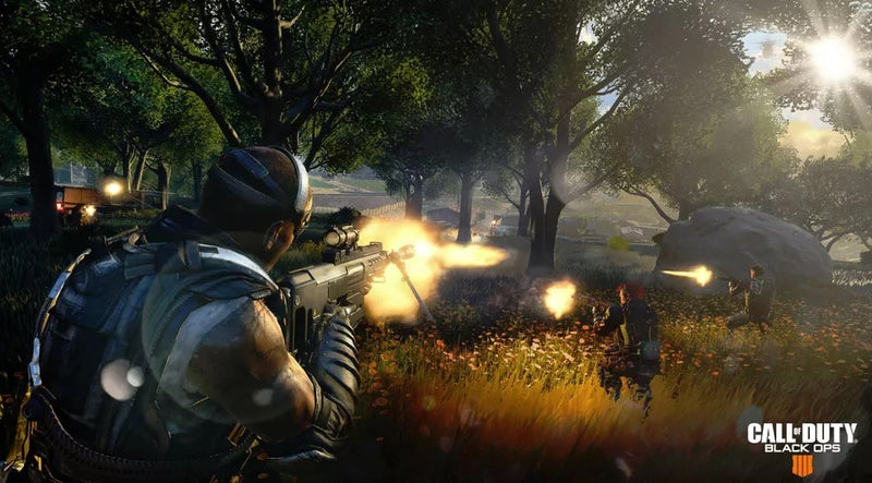 Call of Duty: Black Ops 4 - PS4 - Mídia Física